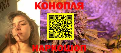 Альфа ПВП Можга