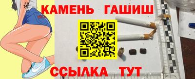 Альфа ПВП Можга