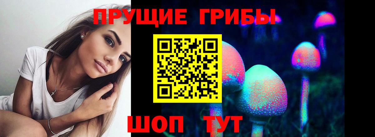 Псилоцибиновые грибы GOLDEN TEACHER Зерноград